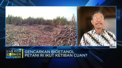 BBM Bakal Dicampur Etanol,Petani Tebu Minta Ini Ke Pemerintah