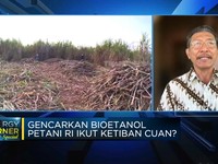 BBM Bakal Dicampur Etanol,Petani Tebu Minta Ini Ke Pemerintah