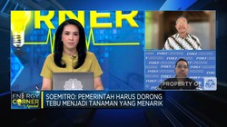 Jokowi Kembangkan Bioetanol Tebu, Masalah Ini Jadi Tantangan!