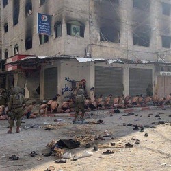 Viral Israel Telanjangi Puluhan Warga Palestina, Dunia Teriak