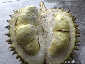 Mencicipi Legitnya Durian Mini dari Lereng Gunung Semeru