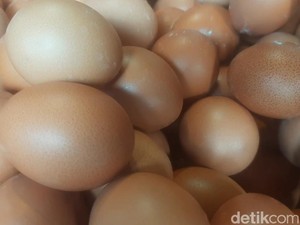 Ilmuwan Pecahkan Teka-teki Lebih Dulu Ayam atau Telur?