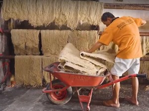 Mengenal Mi Terjelek Sedunia dari Indonesia