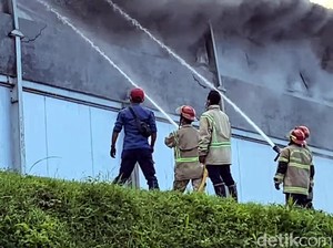 Meski Sulit, Damkar Sukses Jinakkan Api di Peternakan Ayam Sukabumi