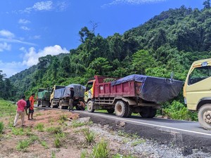 Pria di Tambrauw Selundupkan 628 Batang Kayu Merbau Ilegal Ditangkap