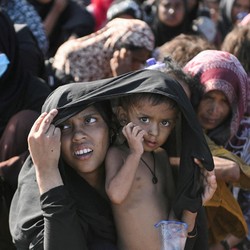 Sikap Terbaru RI ke Pengungsi Rohingya
