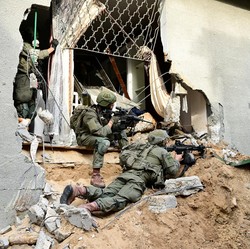 Apa Itu Bakteri Shigella yang Serang Tentara Israel di Gaza?