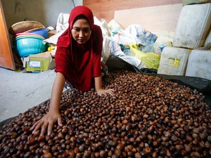 Berkat Internet, Pengusaha Biji Pala Tak Sulit Lagi Pasarkan Produk