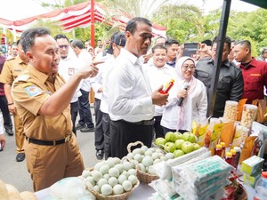 Mentan: Kami Impikan Kalteng Jadi Penyangga Pangan IKN