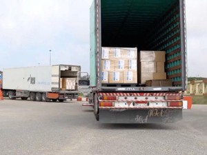 Israel Tembaki Warga Gaza Saat Serbu Truk Bantuan, Puluhan Orang Tewas