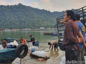 Waduk PLTA Koto Panjang Dibuka Lagi, Warga-Pemilik Tambak Diimbau Waspada
