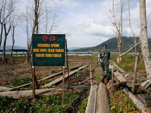 Tak Cuma Keamanan, TNI di Tobelo Bantu Genjot Ekonomi-Ketahanan Pangan
