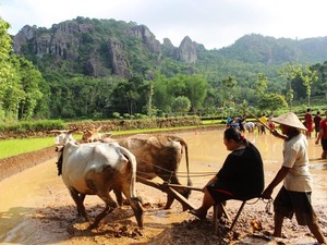 Apa Itu Quality Tourism yang Kini Jadi Fokus Dispar Jogja?