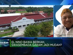 Garam Impor "Bunuh" Petani Garam, Ini Harapan ke Jokowi!