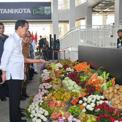 Deflasi Mei: Karena Harga Barang Murah Atau Warga RI Nge-Rem Belanja?