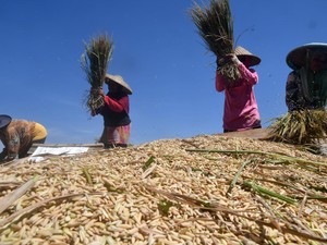 Banyak Negara Terbelit Masalah Pangan, 10 Negara Masuk Jurang Kelaparan