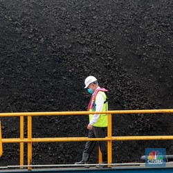 Rogoh Rp 105 M, Bayan Resources (BYAN) Beli Saham Perkebunan