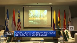 CPOPC Desak Uni Eropa Perjelas UU Anti Deforestasi