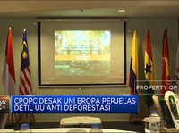CPOPC Desak Uni Eropa Perjelas UU Anti Deforestasi