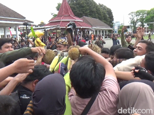 Ratusan Warga Berebut Gunungan Hasil Bumi Peringati HUT Lumajang