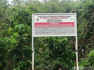 Siap-siap, 250 Hektar Hutan Bali Barat Mau Dibangun Wisata Mewah