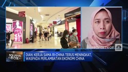Kerja Sama RI-China Terus Meningkat, Ekonom Ingatkan Ini