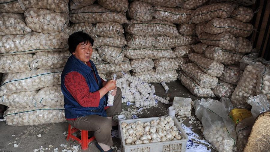 Seorang pekerja asal China mengupas bawang putih di sebuah pasar di Hefei, provinsi Anhui, China tengah pada 19 Mei 2010. (Photo by AFP / AFP/File Foto)