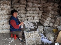 Bukan Vampir, Bawang China Buat Takut AS