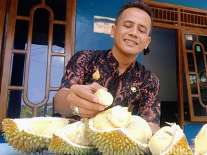 Durian Basar Purworejo Bikin Penasaran, Pembeli Harus Inden