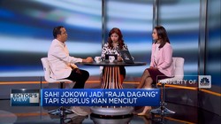 Harga Komoditas Turun, RI Sulit Surplus Neraca Dagang 2024?