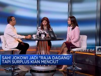 Harga Komoditas Turun, RI Sulit Surplus Neraca Dagang 2024?