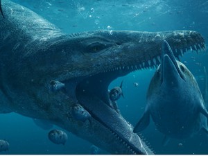 Monster Laut Raksasa Berhasil Digali Keluar dari Tebing di Inggris