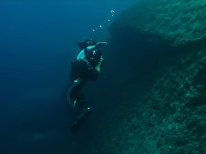 Sinopsis Film The Dive, Perjuangan Hidup di Kedalaman Laut