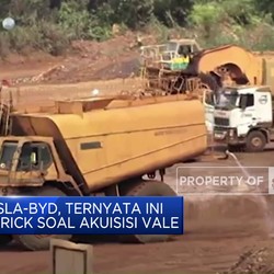 Sebut Tesla-BYD, Ternyata Ini Alasan Erick Soal Akuisisi Vale