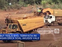 Sebut Tesla-BYD, Ternyata Ini Alasan Erick Soal Akuisisi Vale
