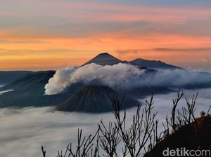Viral Cewek Bule Nyaris Dilecehkan saat Kemping di Bromo, Ini Kisahnya