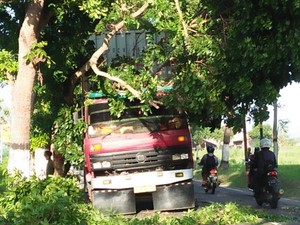 Truk Kontainer Nyangkut Pohon di Jalan Ceper Klaten