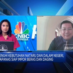 Buka-bukaan Bos Bapanas Soal Impor Beras & Daging Dari India