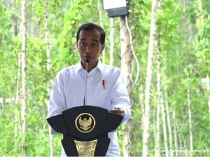 Jokowi Beri Insentif UMKM di IKN: Bebas Pajak Penghasilan