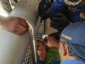 Isengnya Mahasiswi UIN Jogja Masukkan Jari ke Kursi Berakhir Dibantu Damkar