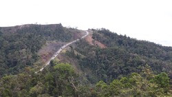 Menteri PU Jamin Proyek Jalan Trans Papua Lanjut, tapi...