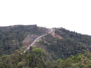 Menteri PU Jamin Proyek Jalan Trans Papua Lanjut, tapi...