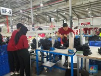 Indef: Transformasi Ekonomi RI Dianggap Masih Prematur, Ini Alasannya!