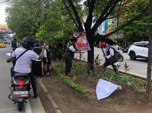 Turun Tangan DLH Makassar Copot APK di Pohon Usai Bawaslu-KPU Saling Sindir