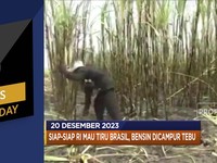 RI Produksi BBM Bioetanol - AS Blacklist 13 Perusahaan China