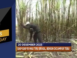 RI Produksi BBM Bioetanol - AS Blacklist 13 Perusahaan China
