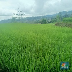 Ilmuwan Ramal Tahun 2026 Kiamat, Begini Penjelasannya