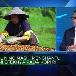 Antisipasi Dampak El Nino, Ini Jurus PTPN Jaga Produksi Kopi
