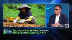 Antisipasi Dampak El Nino, Ini Jurus PTPN Jaga Produksi Kopi