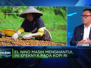 Antisipasi Dampak El Nino, Ini Jurus PTPN Jaga Produksi Kopi